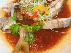 -莆鑫海鲜城(浏河店)