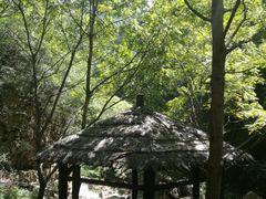 -九龙潭景区