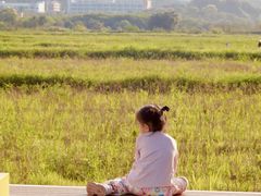 -光明小镇欢乐田园