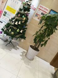 -银座Calla日式美容沙龙
