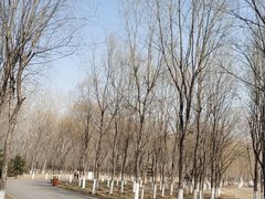 -东郊湿地公园