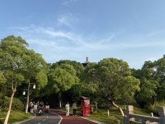 -八大山人梅湖景区