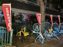 -双季花艺园艺市场(浦东店)