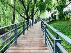 -大兴滨河森林公园