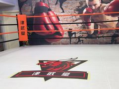 -津武堂散打搏击俱乐部(河西店)