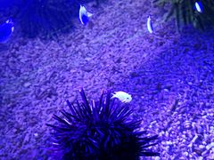 -皇家极地海洋世界-售票处