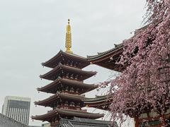-浅草寺