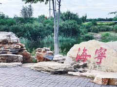 -大港湿地公园