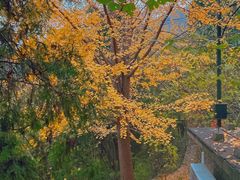 -香山公园