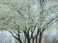 -盘龙城国家考古遗址公园