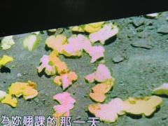 -魅KTV·AI辅唱(簋街店)