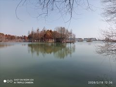 -贡湖湾湿地公园
