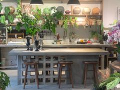 -自由生长植物工作室(深港花卉中心店)