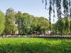 -四川大学(望江校区)