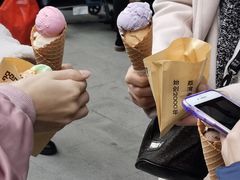 -成裕雪糕店(士多店)