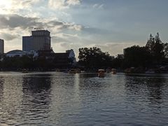 -月湖公园