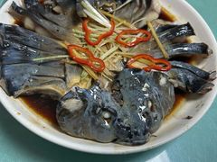 -煲来饱去冷水鱼