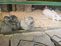 -正佳雨林生态植物园