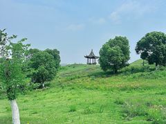 -南京市无想山景区