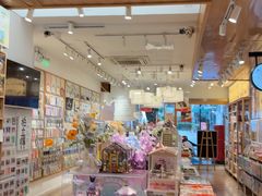 -猫的天空之城概念书店(大学路店)