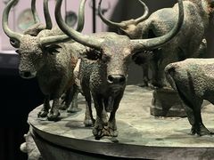 -上海博物馆(人民广场馆)