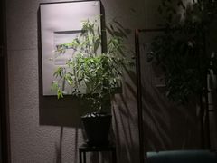 -王府茶宴(大观园总店)