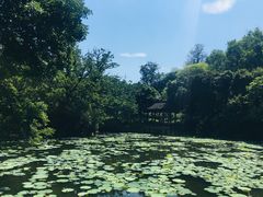 -西湖公园(鼓楼区)