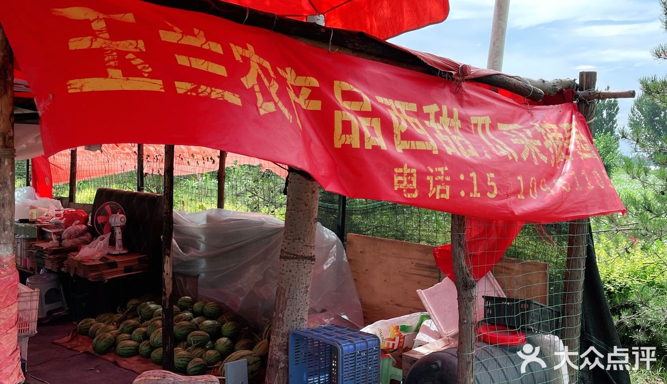 今年夏天最好吃的西瓜🍉｜庞各庄买西瓜🍉新发现