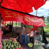 今年夏天最好吃的西瓜🍉｜庞各庄买西瓜🍉新发现