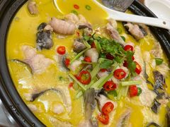 -鲁宴·鲁煨黄河生态大鲤鱼(月坛店)