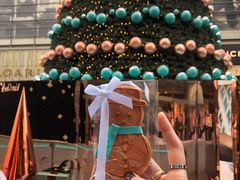 -Tiffany & Co.蒂芙尼
(南京德基广场店)