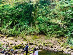 -凤栖山