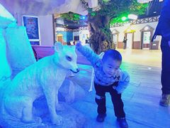 -华夏文旅海洋公园