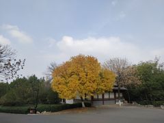 -千佛山风景名胜区
