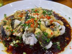 -全乐鱼馆·淳牌有机鱼直营店