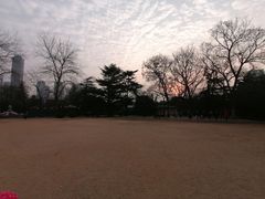 -西苑公园