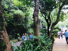 -金鸡山公园
