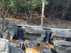 -宁波野生动物园