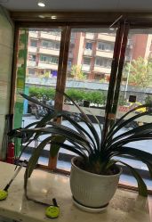 -苗医生专业祛痘·皮肤管理