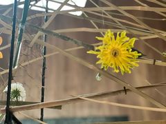 -一坐一忘云南菜(卓悦中心)