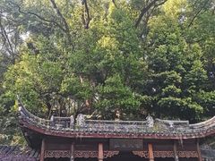 -忠山公园