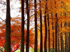 -上海植物园-4号门售票处