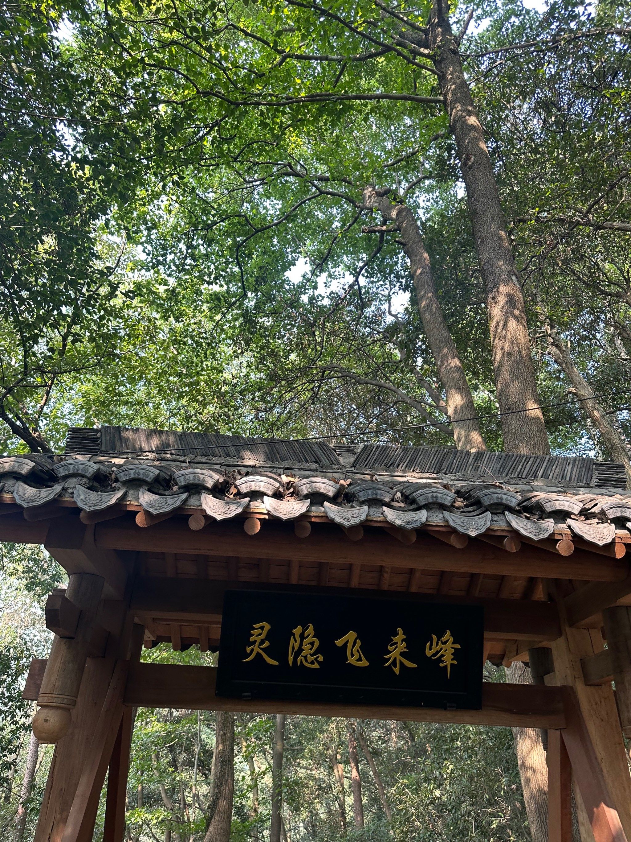 去了杭州,特别想吃东北菜是什么体验