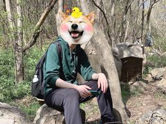 -紫金山索道-售票处
