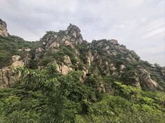-大岭沟猕猴桃谷风景区