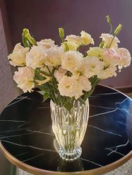 -花隐·美芙炫海菲秀皮肤管理中心