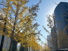 -漕溪路(地铁站)