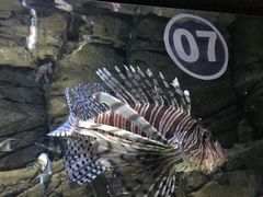 -成都浩海立方海洋公园