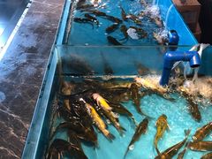 -星伦多 自助料理(圆融店)