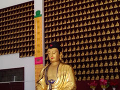 android_upload_pic-慈心素食馆(绳金塔店)